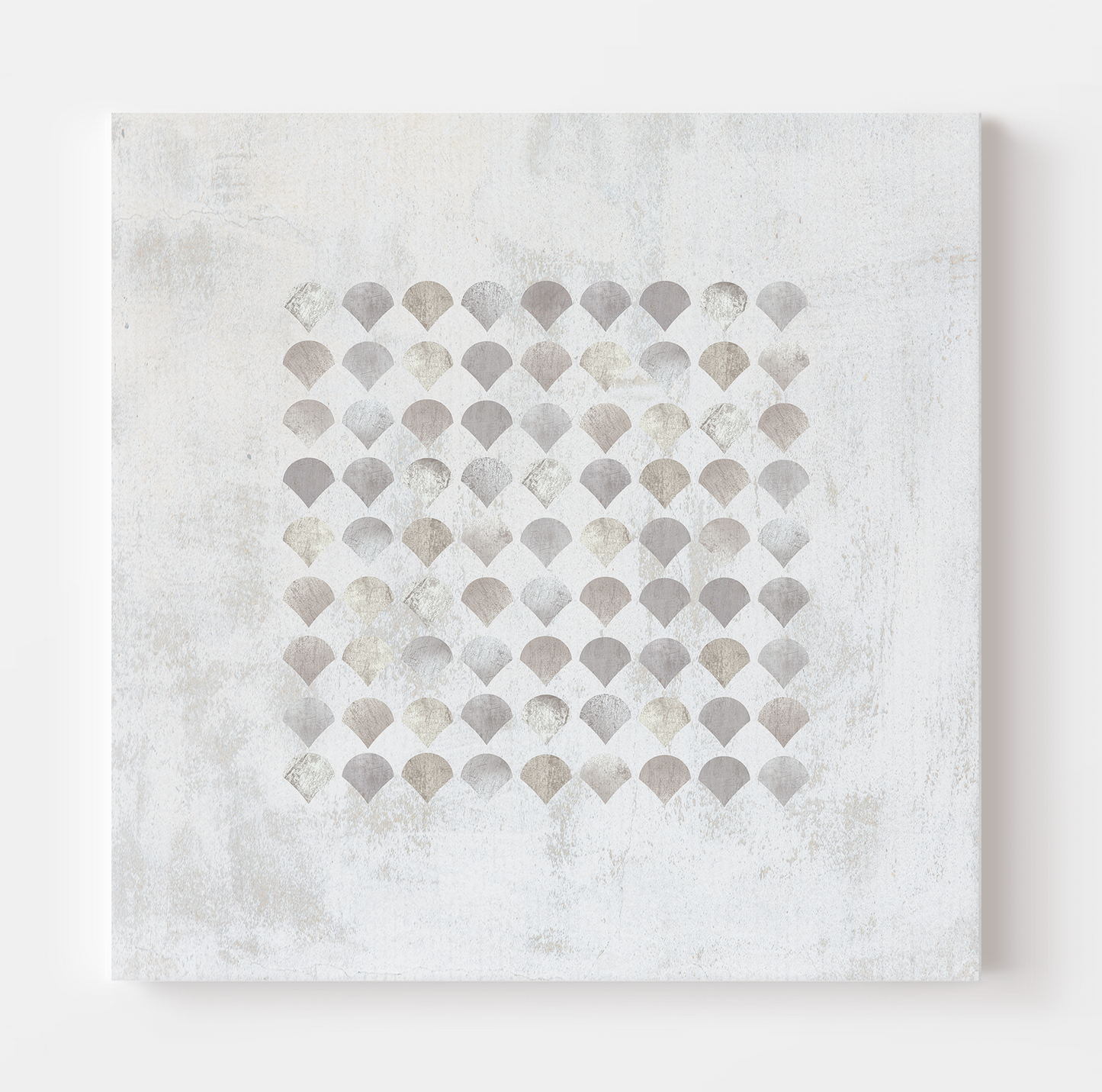 SHELL CANVAS