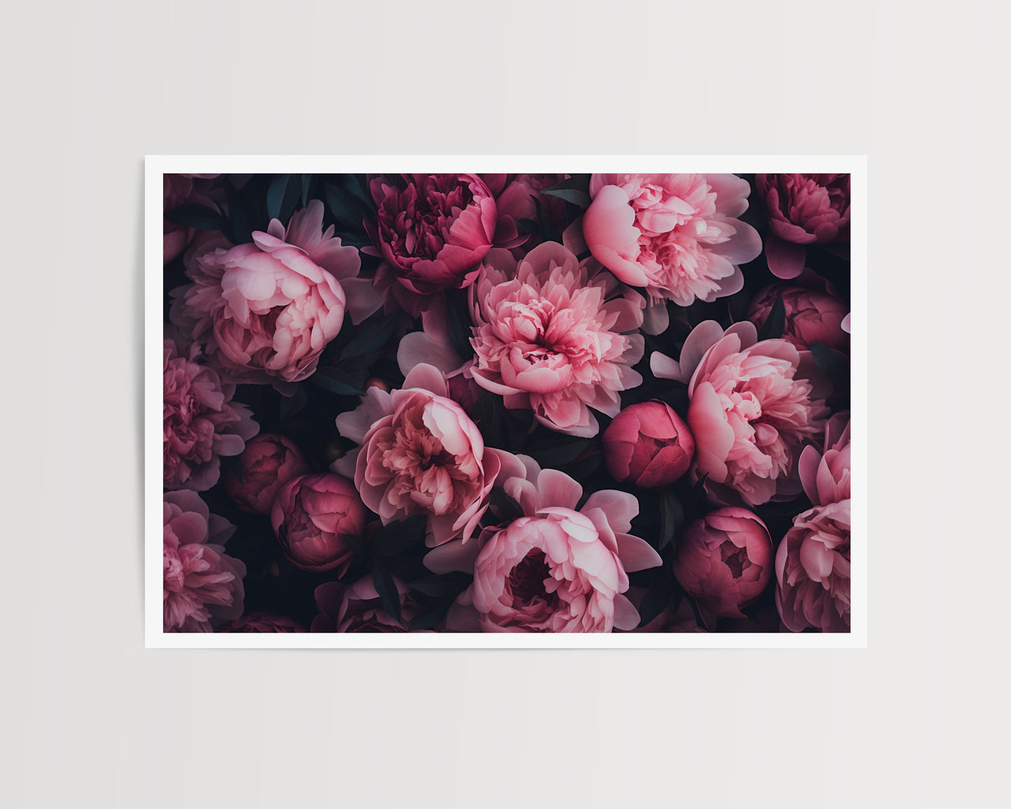 POSY OF PEONIES ART PRINT