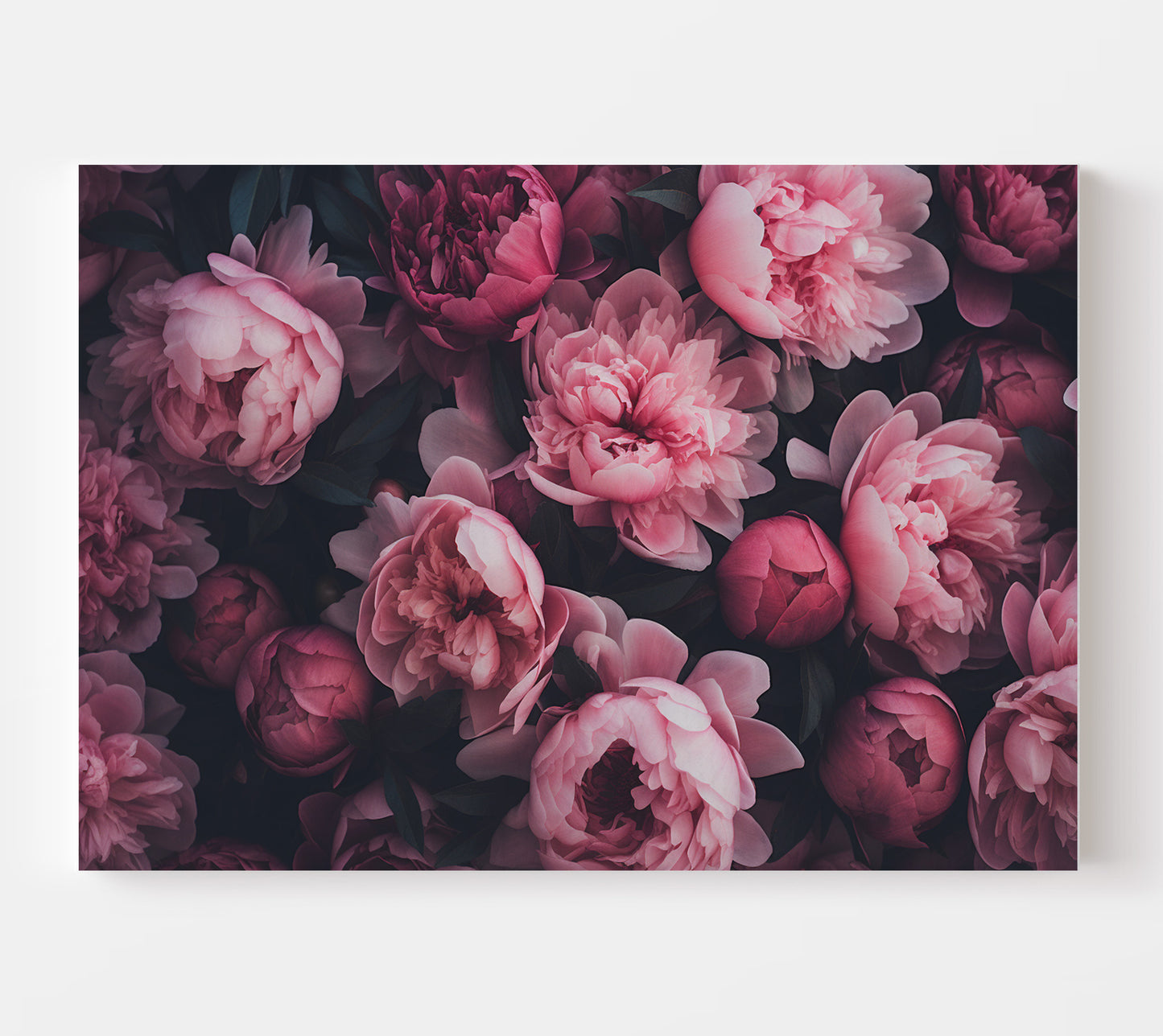 POSY OF PEONIES CANVAS