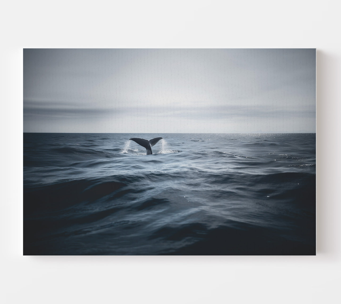 WHALE TAIL CANVAS